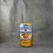 San Pellegrino Appelsin (0,33 l)